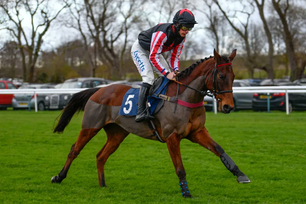 Will be @ascot tomorrow to see Funambule Sivola run in the Jim Barry Hurst Park Handicap Chase for our My Racing Manager Friends syndicate. Trained by in form @VenetiaWRacing with @ned_fox in the plate. See you there!