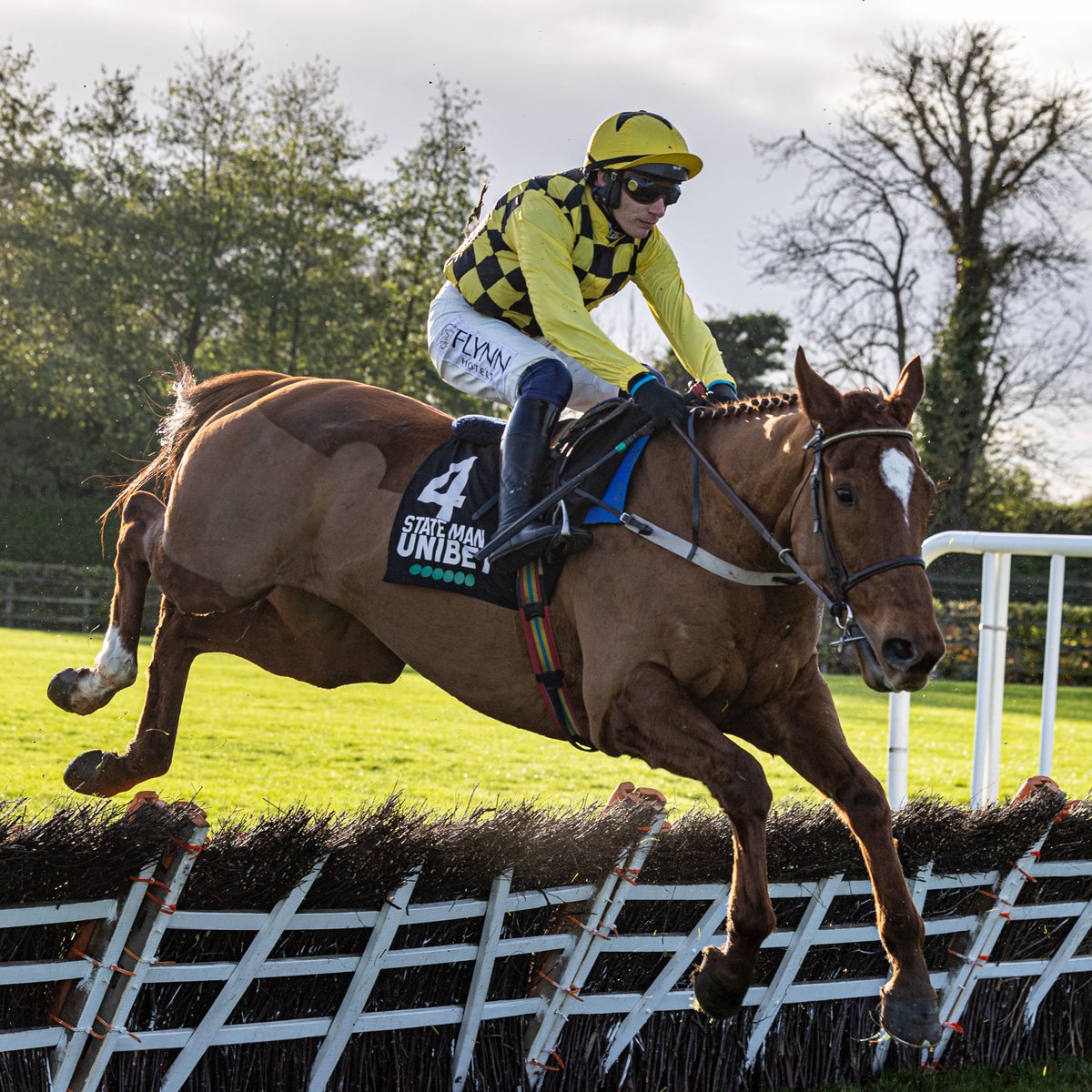 RacingPost's tweet photo. The following horses are set to run this weekend: 

• Affordable Fury
• Apple Away
• Appreciate It
• Asterion Forlonge
• Blue Lord
• Blueking D’Oroux
• Boothill
• Bravemansgame
• Corach Rambler
• Crambo
• Echoes In Rain
• Fastorslow
• Flooring Porter
• Gaelic Warrior
• Gaillard Du Mesnil
• Galopin Des Champs
• Goshen
• Grey Dawning
• Imagine
• Longhouse Poet
• Park Hill Dancer
• Pic D’Orhy
• Pied Piper
• Protektorat
• Quilixios
• Royale Pagaille
• Sandor Clegane
• Shishkin
• State Man
• The Shunter
• Theatre Glory
• Tullyhill

National Hunt Racing 😍
