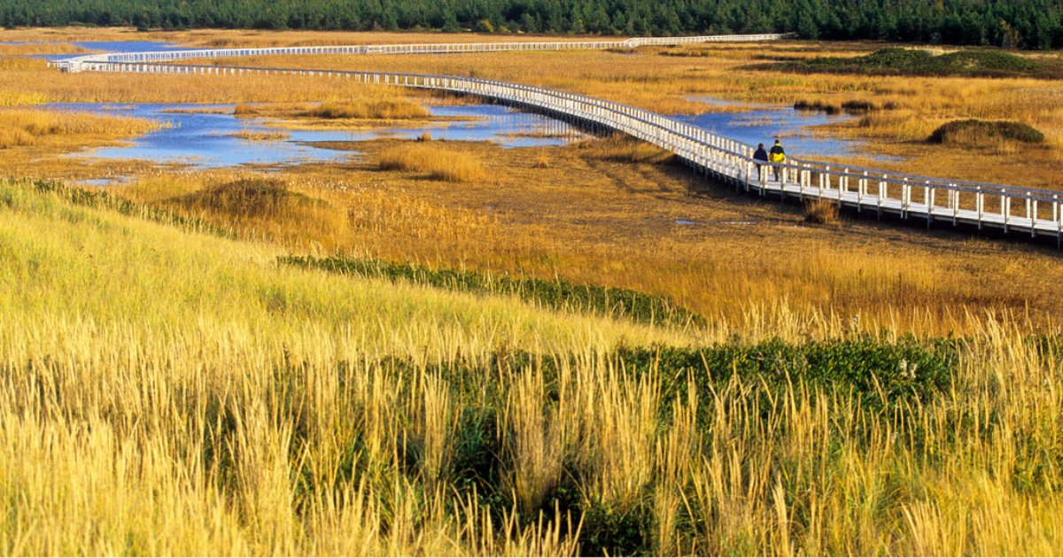 ParcsCanadaIPE's tweet photo. ⚠️ Veuillez noter que le site Web de Parcs Canada sera indisponible du 24 nov., 20h30 HE au 25 nov., 14h HE en raison de travaux d'entretien. 

Pour plus d'informations sur Parc national de ÎPÉ, veuillez contacter: 902-672-6350 ➡ https://t.co/5yZVcocByK https://t.co/HJyb7ZGYhv