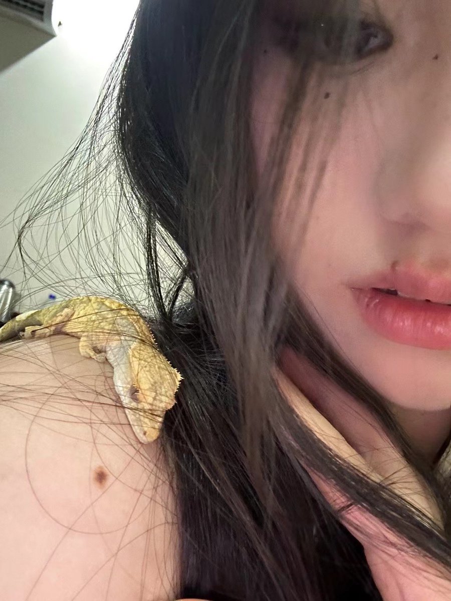 当年养仔仔的时候给它想了许多名字 最后还是给它取名叫 五一 因为正好碰巧它是五一放假后才接它回家的 而且当时刚看完一把青没多久 里面的五一三飞机 我记了很久 所以就取名叫五一 https://t.co/ksib4bVPri