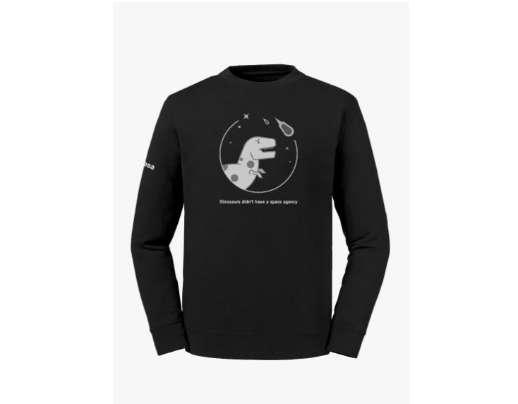 Sweatshirt from @ESASpaceShop 

#BlackFriday #SpaceFashion

esaspaceshop.com/dinosaurs-swea…