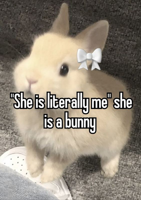 /ᐠ - ˕ -マ (@lovesickdoe) on Twitter photo 