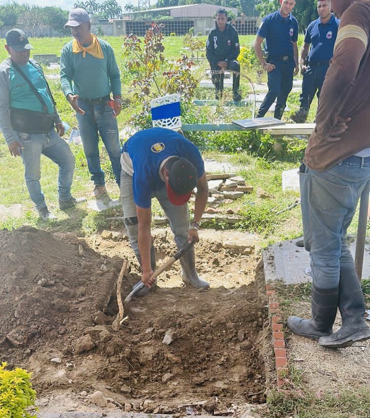 Tarek William Saab tweet media