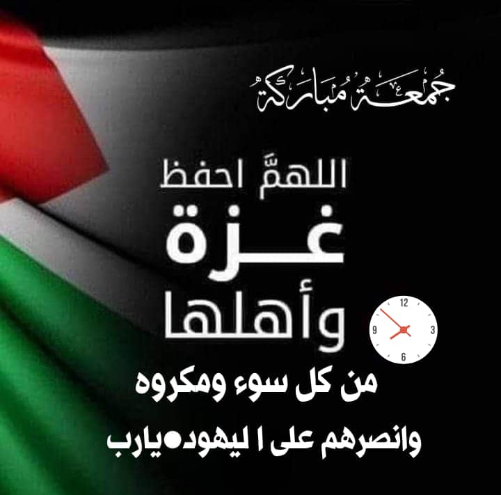 عبدالله صالح الحجاجي tweet media