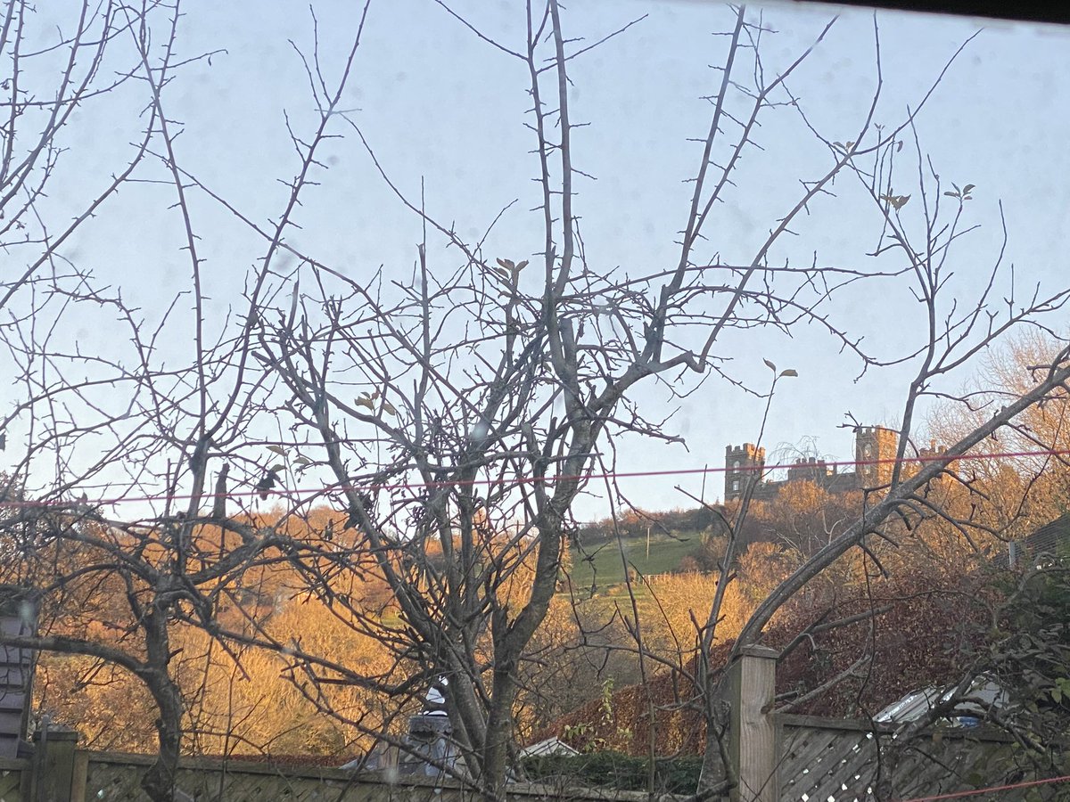 seaparkin's tweet image. Lovely light today. Spent a small amount of time outside &amp;amp; mostly in a bush :D Happy Friday x  #winter #coldoutside #parklife #matlock #derbyshire #hallLeyspark