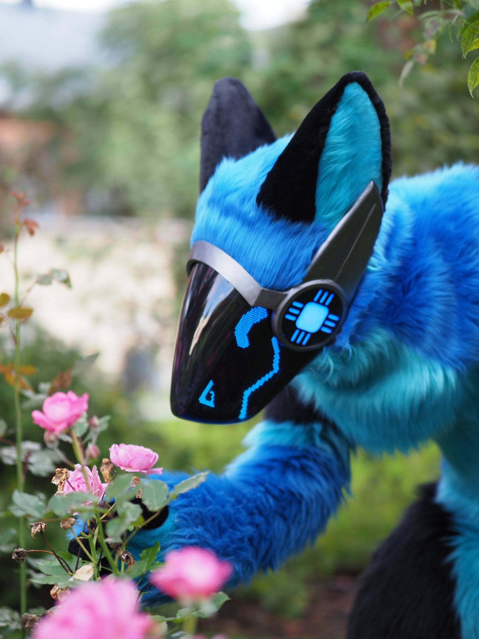 Bitti on X: Feeling cute this #fursuitfriday #furry #fursuit