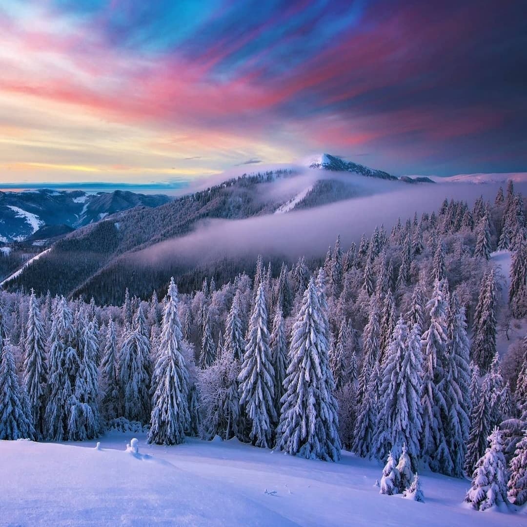 The garden is full of spring scenery, with a few red flowers falling all over the ground