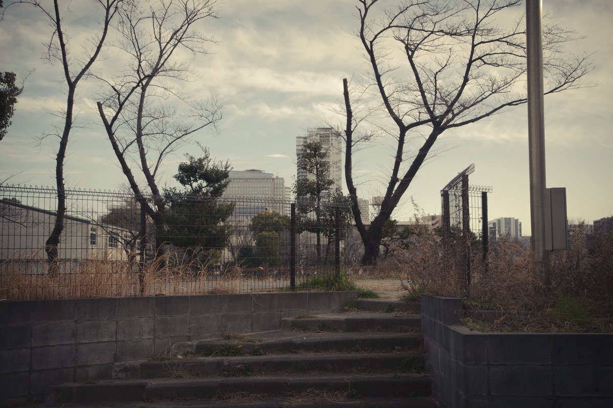 🌞おはようございます

#photography #streetphotography