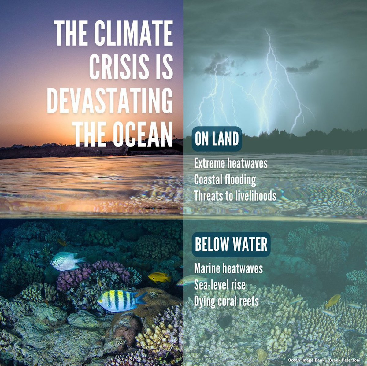 The climate crisis is devastating our planet, including our ocean.

Change starts with each of us.

Learn about actions you can take to #SaveOurOcean: un.org/sustainabledev…