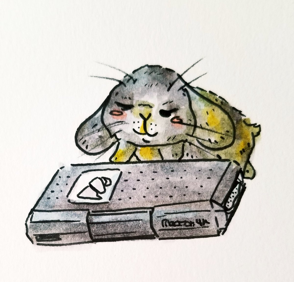 Zesty Time tweet media