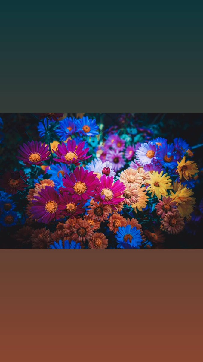 Güzel seni çok özledim...