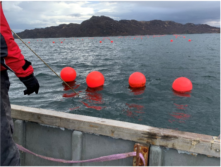 📷 No se pierda este interesante caso de estudio donde de mano de <a href="/TiniusOlsen1/">Tinius Olsen</a>, se realizaron exhaustivas pruebas a las aplicaciones de la cuerda de lana. El interés en este material ha crecido por los potenciales beneficios que tiene para la preservación del medio ambiente 📷📷