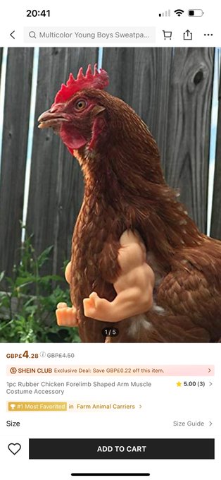 what in the BOK is this -  who from @MisfitsBoxing is taking on Mr Clucky https://t.co/A7Dd6Kai0l<a class="tags" target="_blank" title="On Twitter" href="/?out=eyJ0eXAiOiJKV1QiLCJhbGciOiJIUzUxMiJ9.eyJpYXQiOjE3MjE3MzAwOTksImlzcyI6InR3cG9ybnN0YXJzLmNvbSIsIm5iZiI6MTcyMTczMDA5OSwiZXhwIjoxNzUzMjY2MDk5LCJyZWRpcmVjdF91cmwiOiJodHRwczovL3R3aXR0ZXIuY29tL01pc2ZpdHNCb3hpbmcifQ.wkyG1nZ4nzuhuwwDyTORibXy5PVMOvo9HCIAT8QA-Vf-OP0kWZC_-vTVbnAy9AwL6a5_Hqp-sUY_iP6Sw7OquQ">@MisfitsBoxing</a>