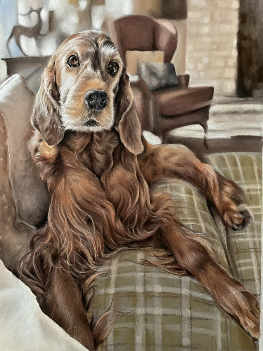 ArtWhittome's tweet photo. Hi everyone 👋
I can finally share another picture with you all..
Here we have Maisie the Irish setter for 😍
It was such a lovely photo that the whole thing had to be captured for this portrait 😊
Hope you like 😊

#art 
#petportrait 
#artist 
#pastelpainting
#irishsetter https://t.co/DN44cHJqU8