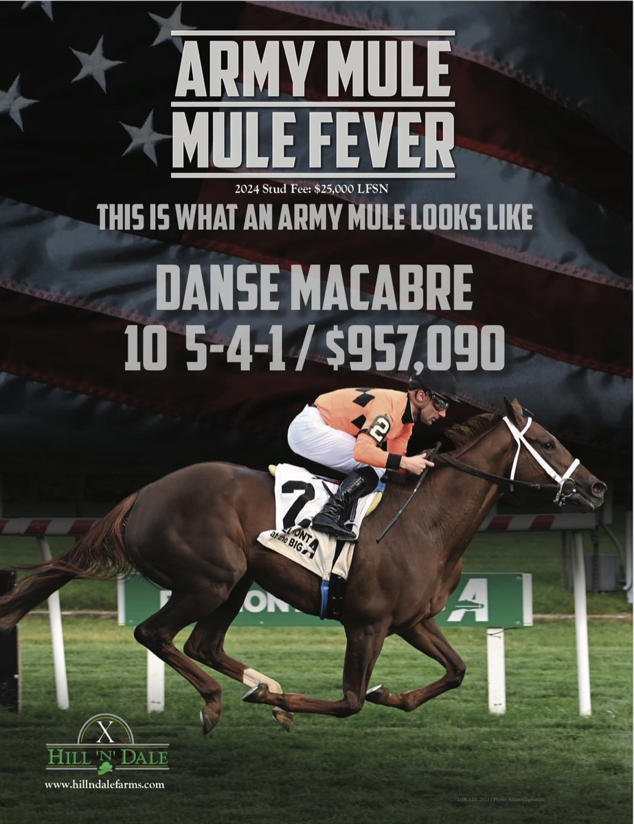 theTDN's tweet photo. This is what an ARMY MULE looks like.
Danse Macabre: 10-5-4-1/$957,090 💰
@HillnDaleFarm #MuleFever https://t.co/VNqSegPGzl