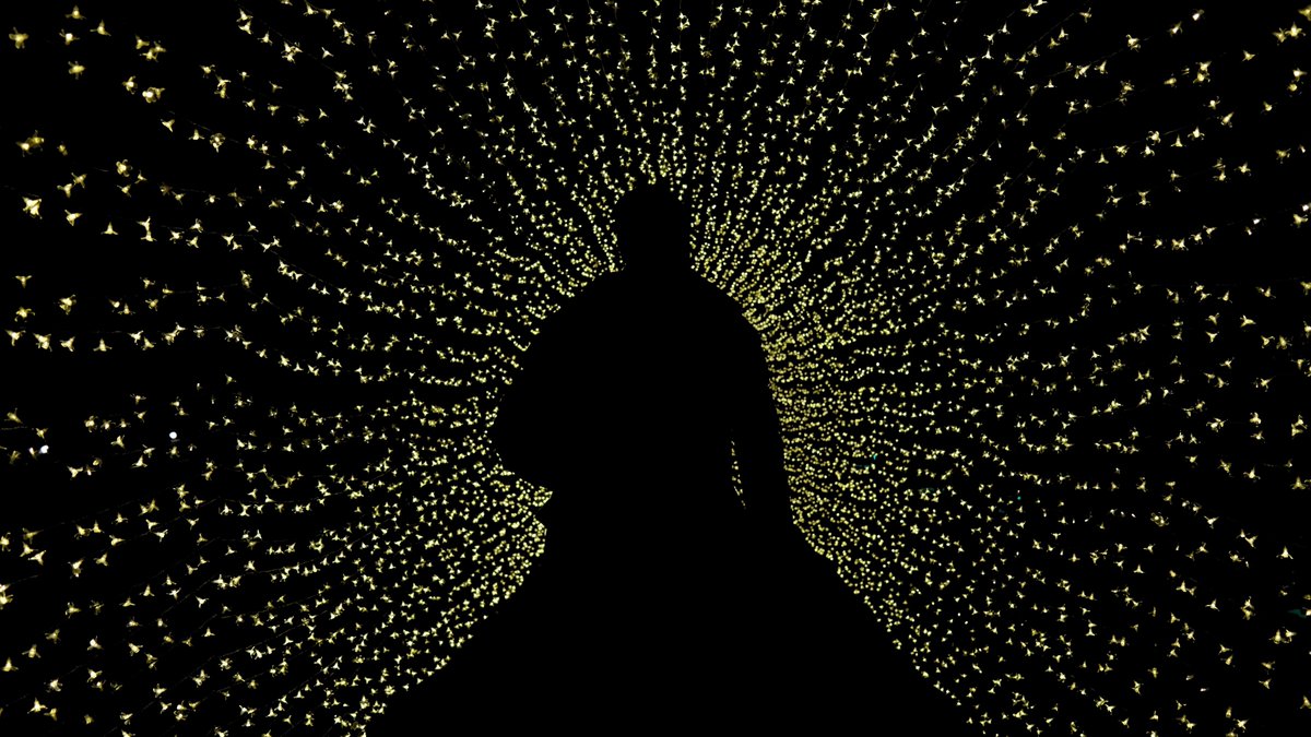 jassansi's tweet image. Huge thank you to Birmingham Botanical Gardens for the invitation to experience #LuminateBirmingham - Winter Lights Trail 

It&apos;s a mesmerising walk around the Gardens by night illuminated by an extraordinary light show 

Tonight also showcased the launch of @BhamRoundhouse  Gin,…