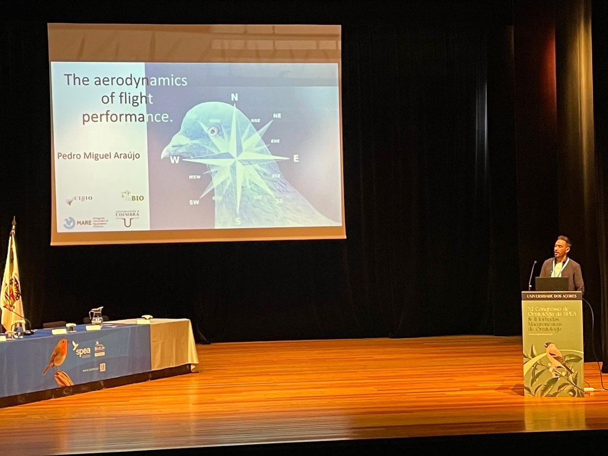 ECOTOP_UC's tweet photo. @filipe_ceia @DCV_UC @MARE_centre @UCoimbra_Rsrch @MDiMatos @SaraVerssimo4 Day 3 of #CongressoSPEA2023 with #Ecotop presentations. New methods  and techniques for study avian ecology and movements. Presented by @AnaCarreiro92, @MiLaranjeiro and @M_Miguel_Araujo @DCV_UC @MARE_centre @UCoimbra_Rsrch https://t.co/vY15DhIdcq