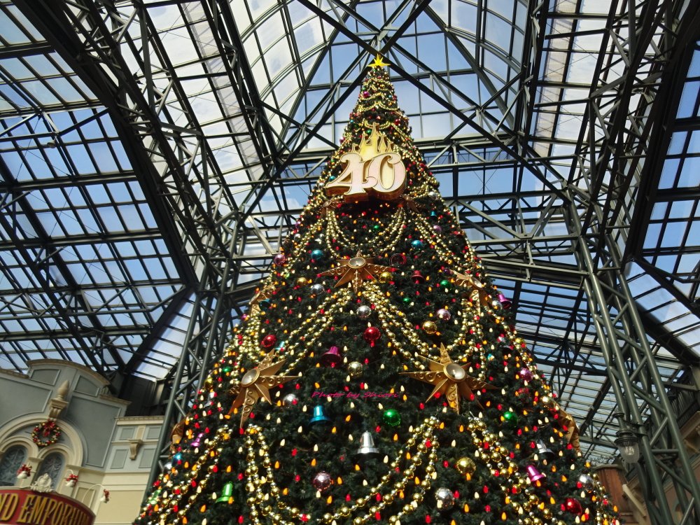 おはようございます(*^^*)💕

［名言・格言］
「それは私の責任です」ということが言い切れてこそ、責任者たりうる。
-　松下幸之助　-

今日も素敵な一日になりますように～(˶･ᴗ･˶)💕
本日もよろしくおねがいします
Have a nice day!💋

【東京ディズニーリゾート】40周年