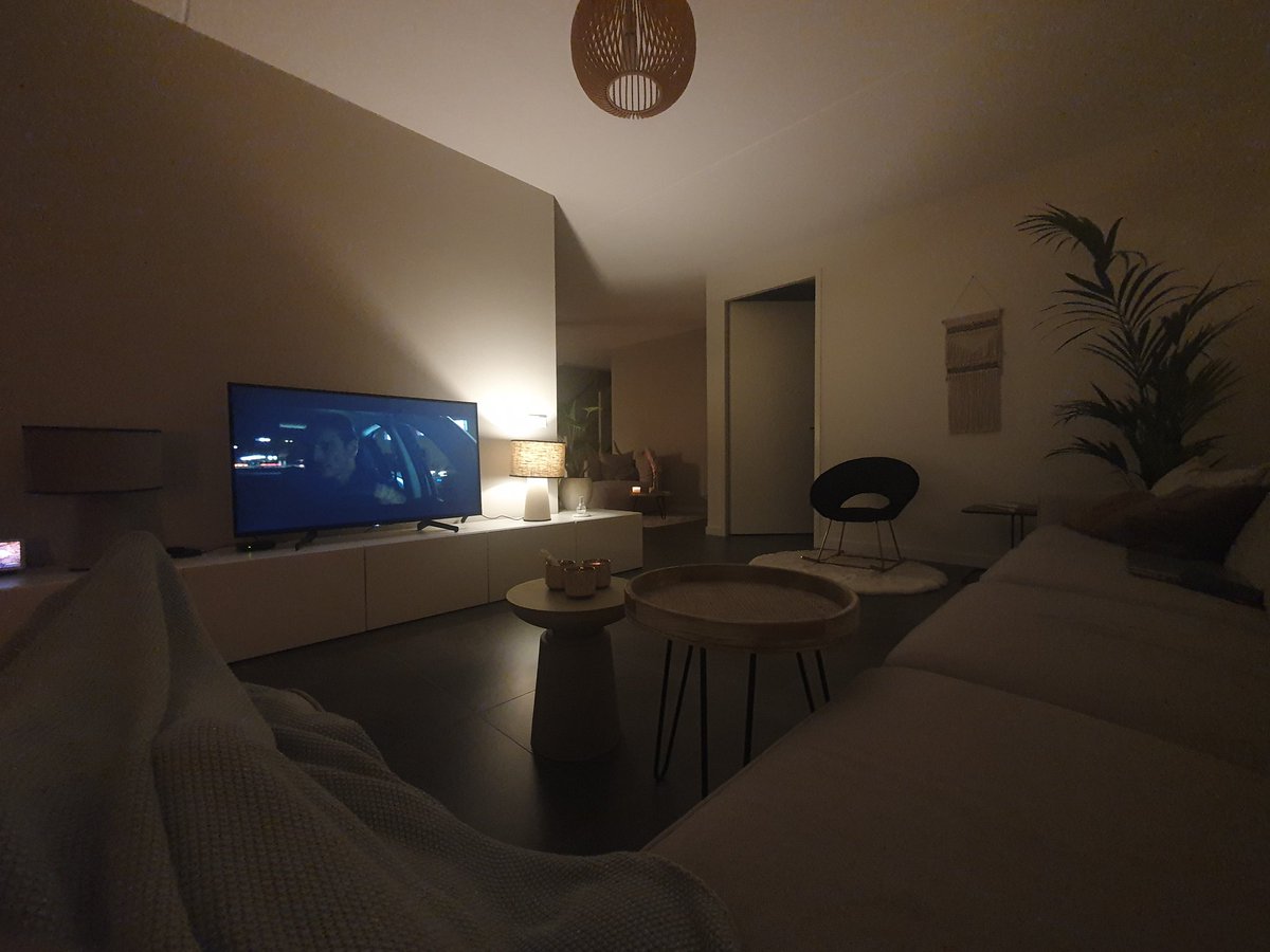 vester71 tweet media