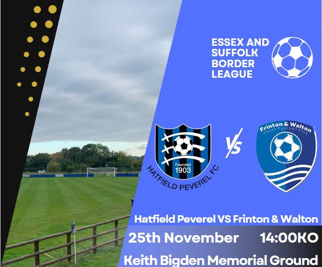 Hatfield Peverel FC tweet media