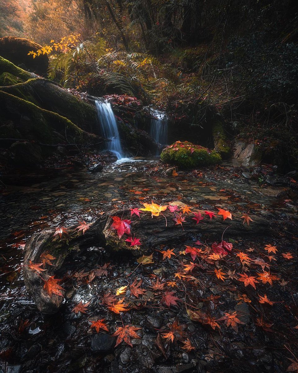 Take a detour and see the scenery you may have never seen before