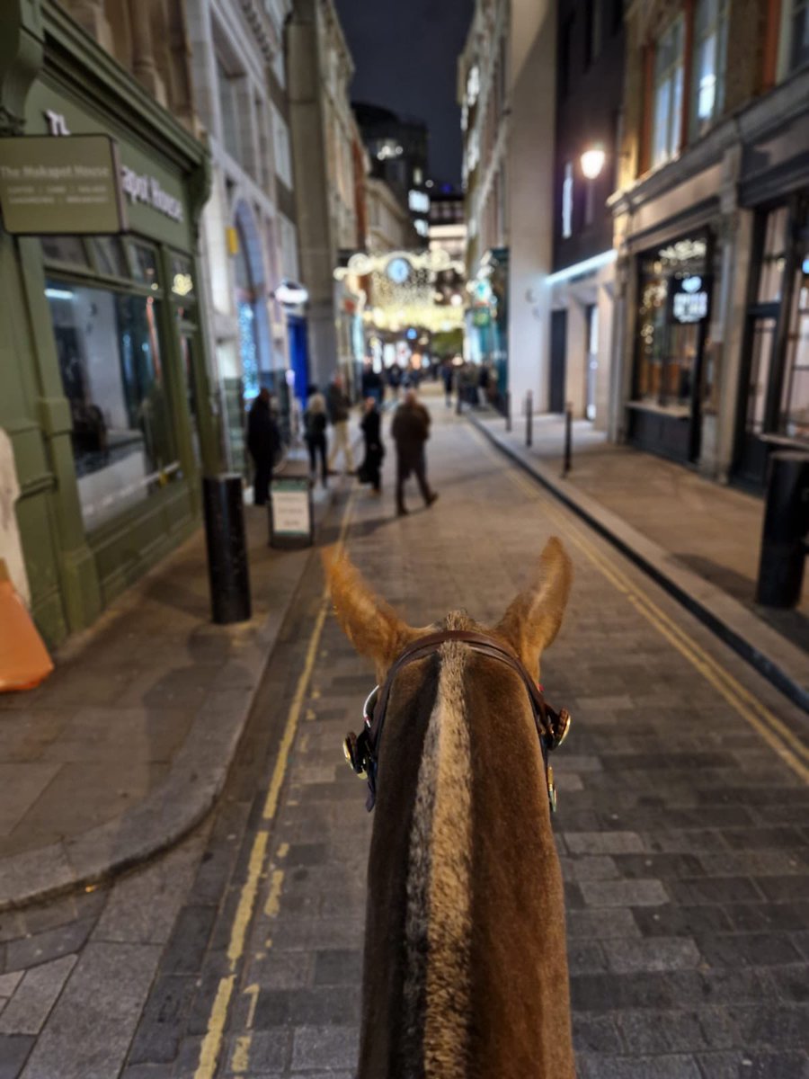 CityFed's tweet image. #PHGilbert and #PHPollard out on #OpTinsel patrols. #GoodPoliceWork from all our members keeping the city safe: