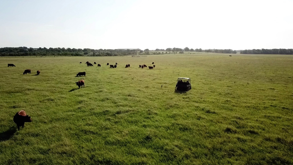 _NatGLC's tweet image. Here's to the farmers and ranchers who work tirelessly, not just to feed the world, but to nurture it. Your efforts help build a sustainable future, one pasture at a time.