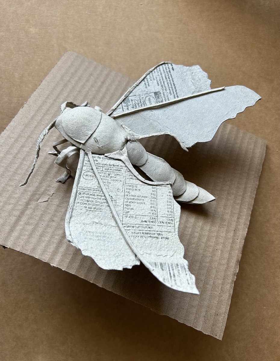 Remember when you made that crocodile out of an egg box? . . . times have moved on. 😁😆
darrellwakelam.com