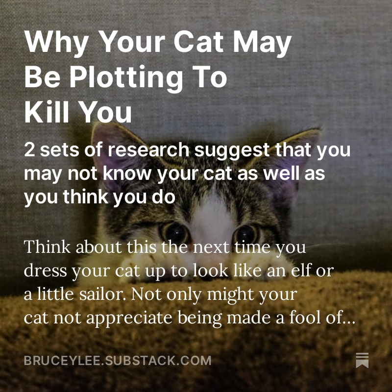 Why Your Cat May Be Plotting To Kill You My latest on Minded by Science Read about this and other stuff on Minded by Science: bruceylee.substack.com