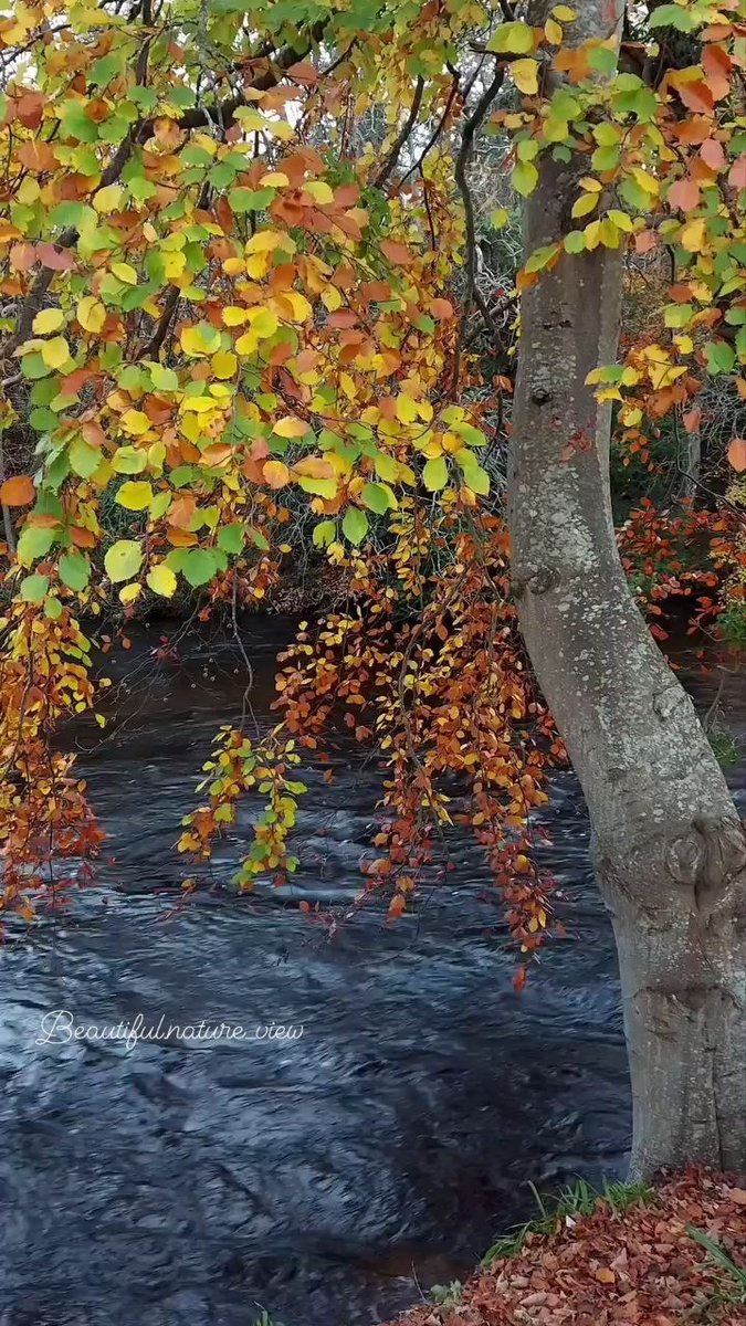 I came from afar to have an appointment with you