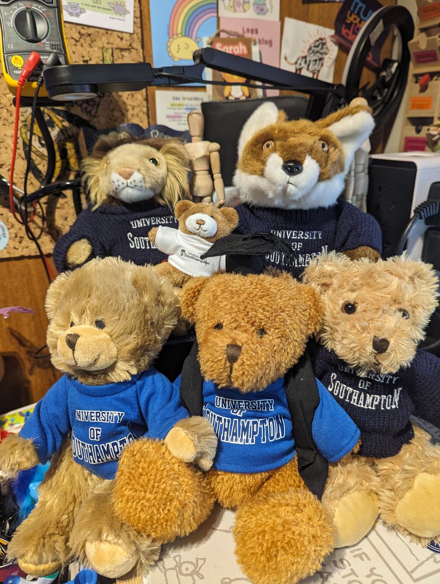 𝙿𝚛𝚘𝚏. 𝚂𝚊𝚛𝚊𝚑 𝙼𝚘𝚛𝚛𝚒𝚜 🔍🐧 tweet media