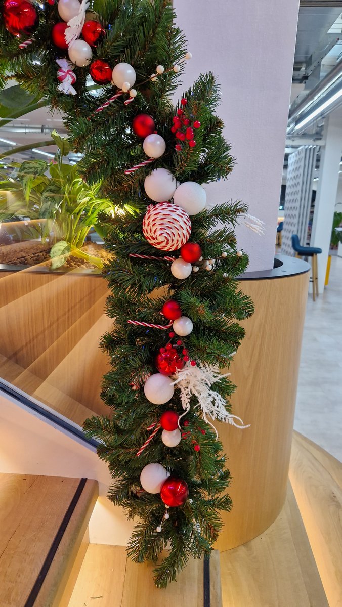 aztecplantsuk's tweet photo. Our first Christmas decorations of the season and we love this Candy Cane theme https://t.co/JLYxOmBLkS