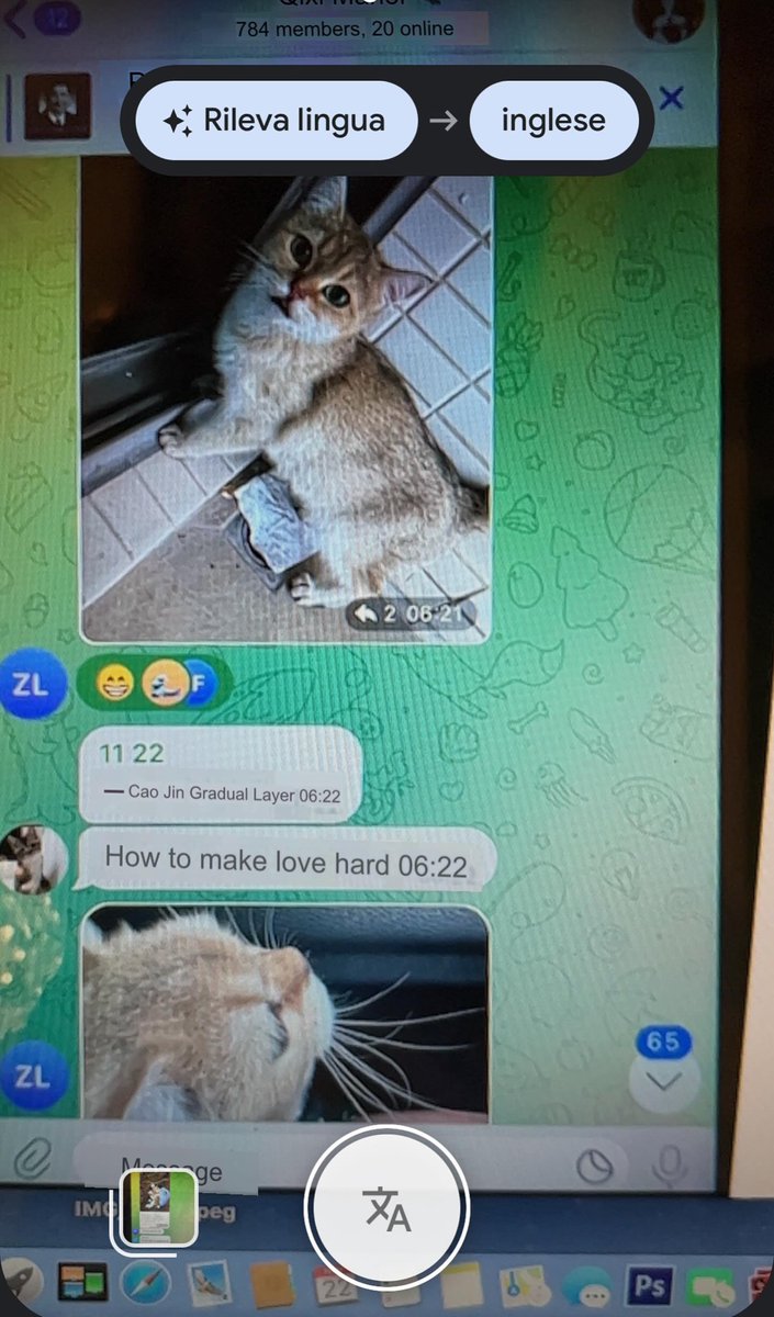 Tom97An's tweet photo. He lives in Georgia and is active in @telegram cat abuse groups.  Zhenfei Li from ATLANTA is a cat abuser. #catabuserschina #Atlanta #Georgia https://t.co/YFocKlbDyl