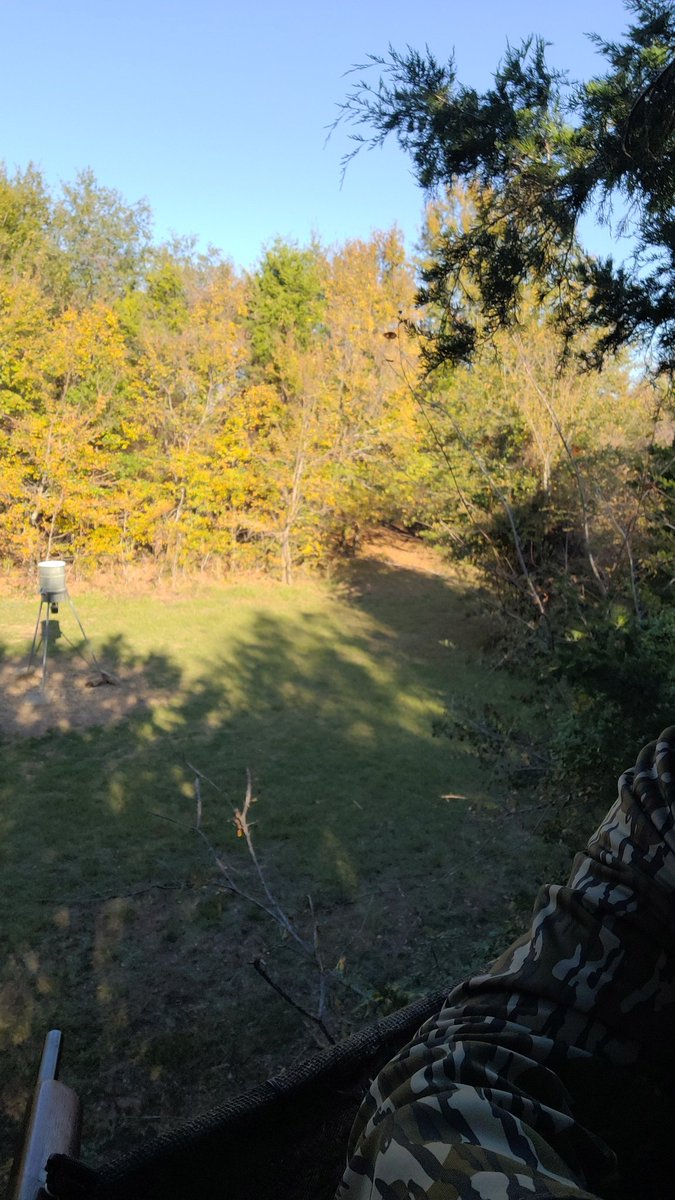 Hunt #17