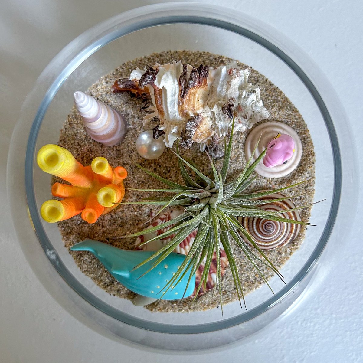 TerrariumKits's tweet photo. It’s time!!! Terrarium Kits’ annual Holiday Sale is here! Shop small and save big this holiday season. 35% off all orders over $35 with code HOLIDAY2023. Link in bio. Offer expires 12/1/23. Happy holidays!

#BlackFriday #SmallBusinessSaturday #CyberMonday #sale #TerrariumKits https://t.co/tTvdeS0WV7