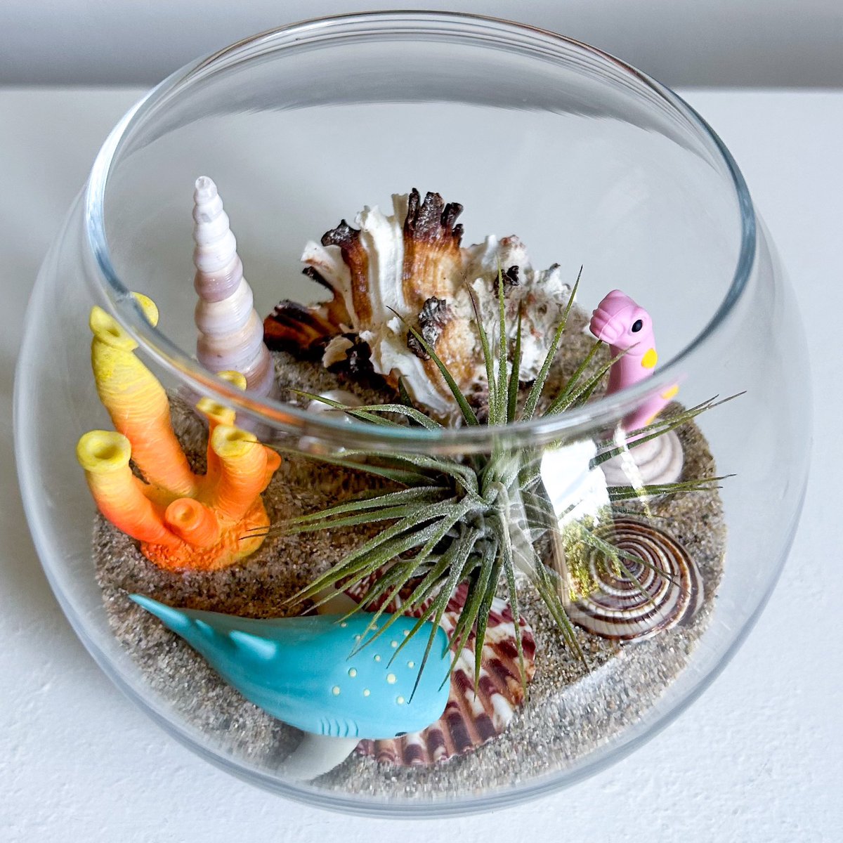 TerrariumKits's tweet photo. It’s time!!! Terrarium Kits’ annual Holiday Sale is here! Shop small and save big this holiday season. 35% off all orders over $35 with code HOLIDAY2023. Link in bio. Offer expires 12/1/23. Happy holidays!

#BlackFriday #SmallBusinessSaturday #CyberMonday #sale #TerrariumKits https://t.co/tTvdeS0WV7