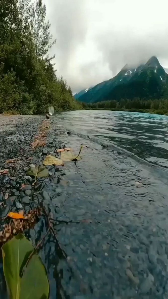 The spring water is tinkling, the breeze is like water, the white clouds are dotted, and the blue sky is like washing.