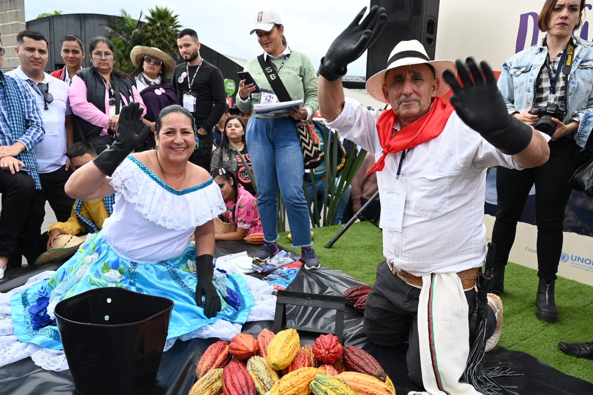 fedecacao's tweet photo. ¿Sabes que nuestros productores de cacao realizan a diario una labor llamada desengrullado de cacao para extraer los granos de este maravilloso fruto?  Ven a #Chocoshow2023 y emocionate con el Primer Campeonato Nacional de Desengrulladores de Cacao ! https://t.co/T1DM9LGO7a