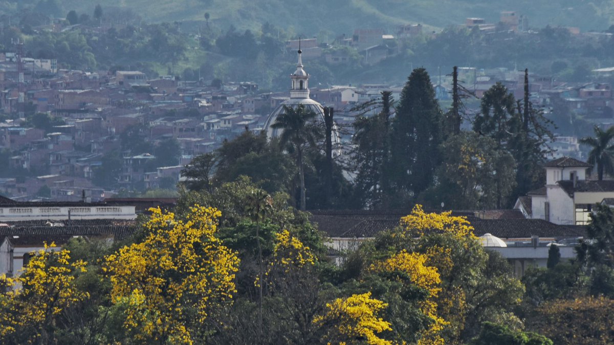 AntanasJL's tweet photo. La ciudad blanca, que siempre es verde y de vez en cuando se viste de amarillo. 

#Popayán 🇨🇴 https://t.co/TL5RL2xLX3