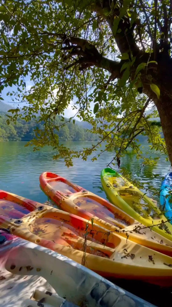 Accompany you through the four seasons and see the most beautiful scenery