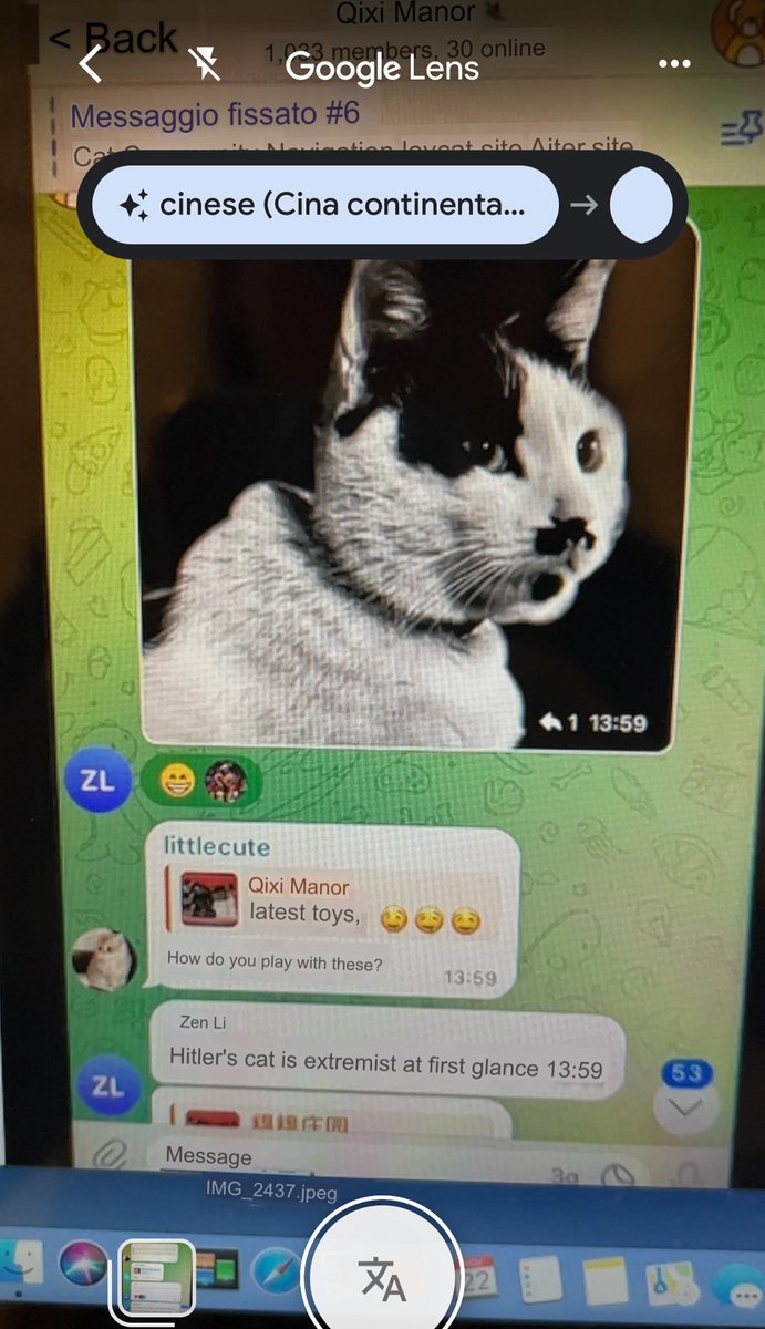 Tom97An's tweet photo. @telegram Zhenfei Li  Screenshots from the @telegram abuse group: https://t.co/KVWG6Kcoiw