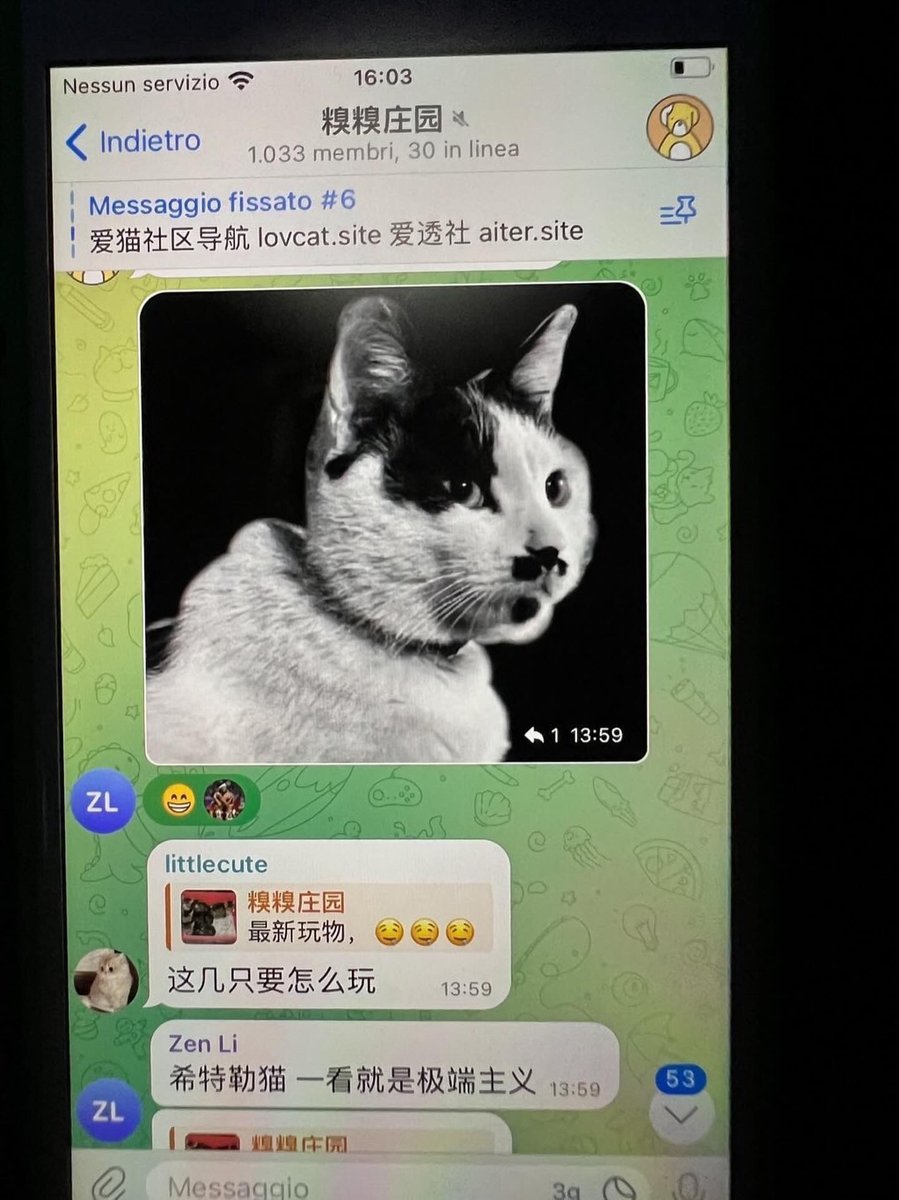 Tom97An's tweet photo. @telegram Zhenfei Li  Screenshots from the @telegram abuse group: https://t.co/KVWG6Kcoiw