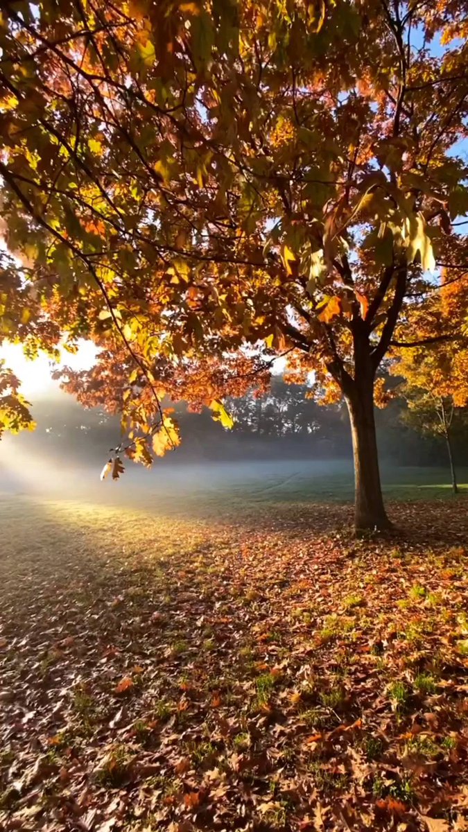 When the time is right and the breeze is not dry, go out for a walk and see different scenery.