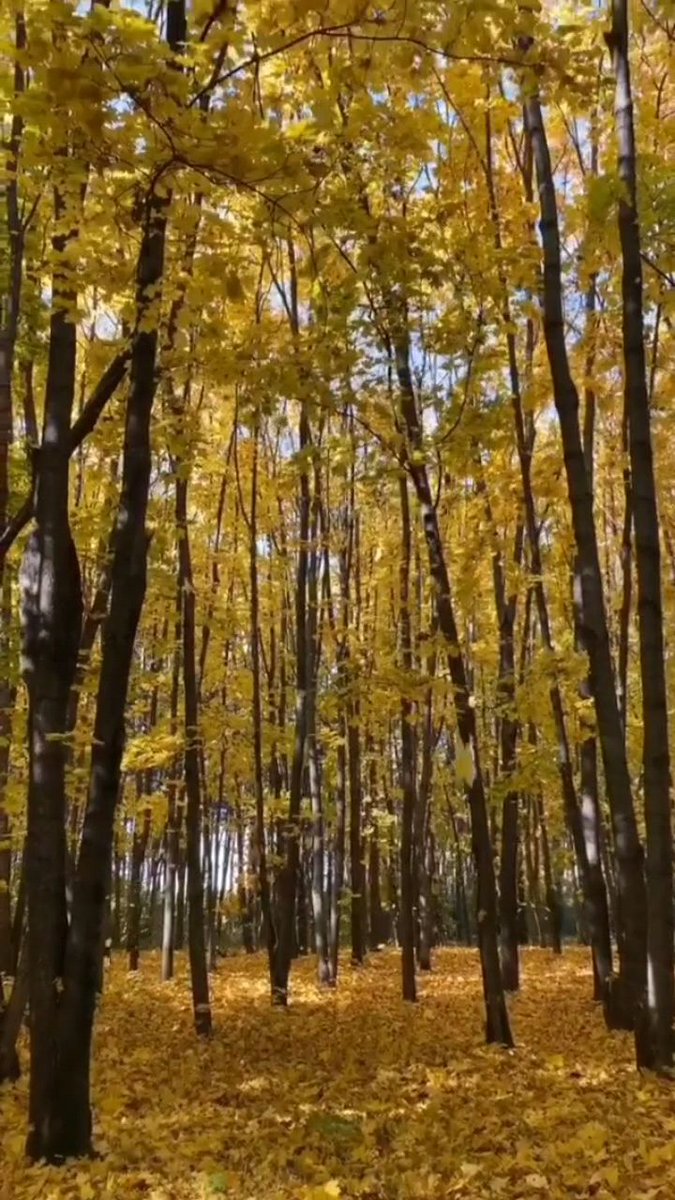 You come to me in a dusty way, which is better than all distant tenderness