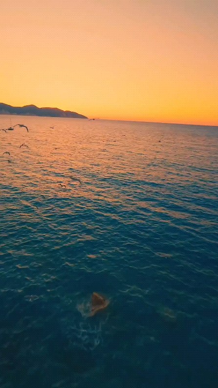 When you come to this world, you must make an effort to see more scenery.