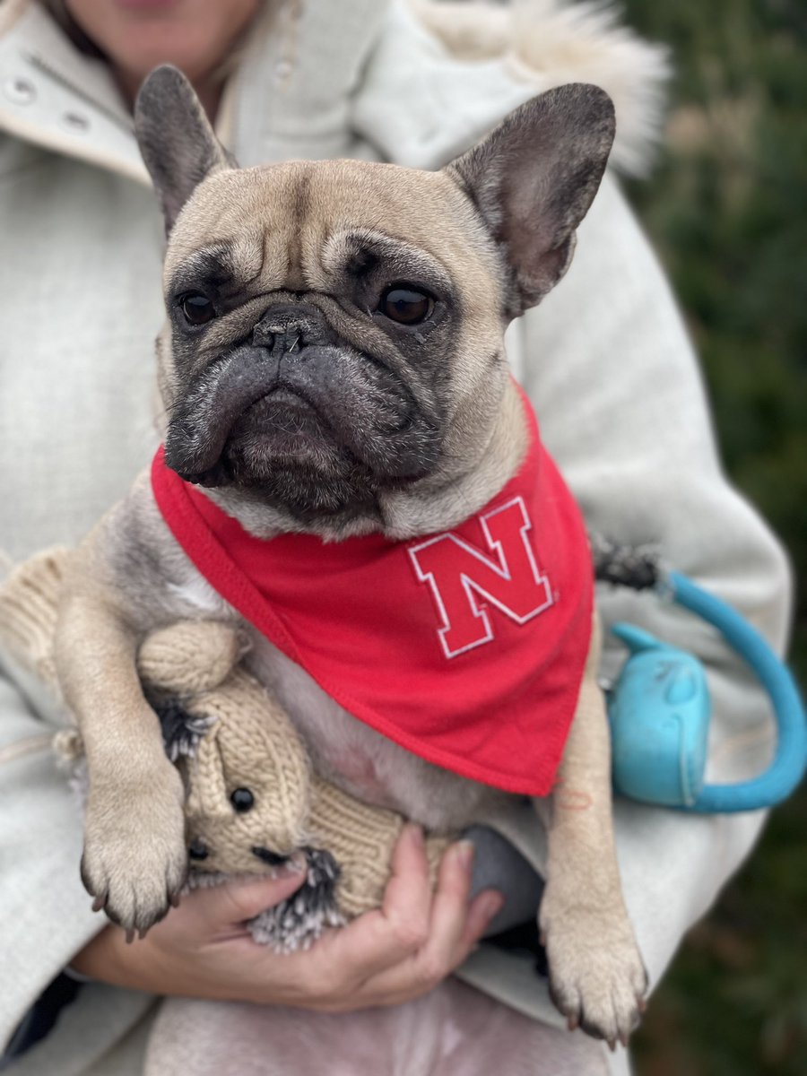 Trenton Franz (@tfranz7070) on Twitter photo Poppy is ready for the game! <a href="/B1GVolleyball/">Big Ten Volleyball</a> <a href="/HuskerVB/">Nebraska Volleyball</a> Poppy is ready for the game! <a href="/B1GVolleyball/">Big Ten Volleyball</a> <a href="/HuskerVB/">Nebraska Volleyball</a>