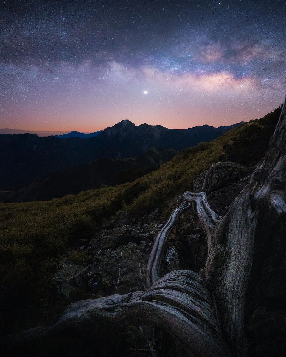 You come to me in a dusty way, which is better than all distant tenderness