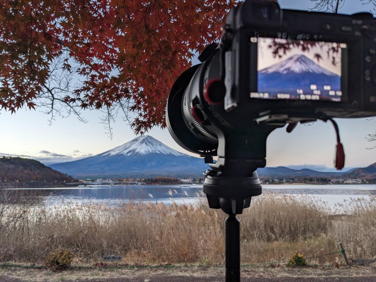 Lyle Holt 🇦🇺 tweet media