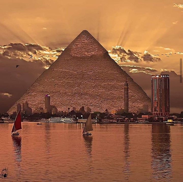 🇪🇬منى القرشي 🪷🌵 tweet media