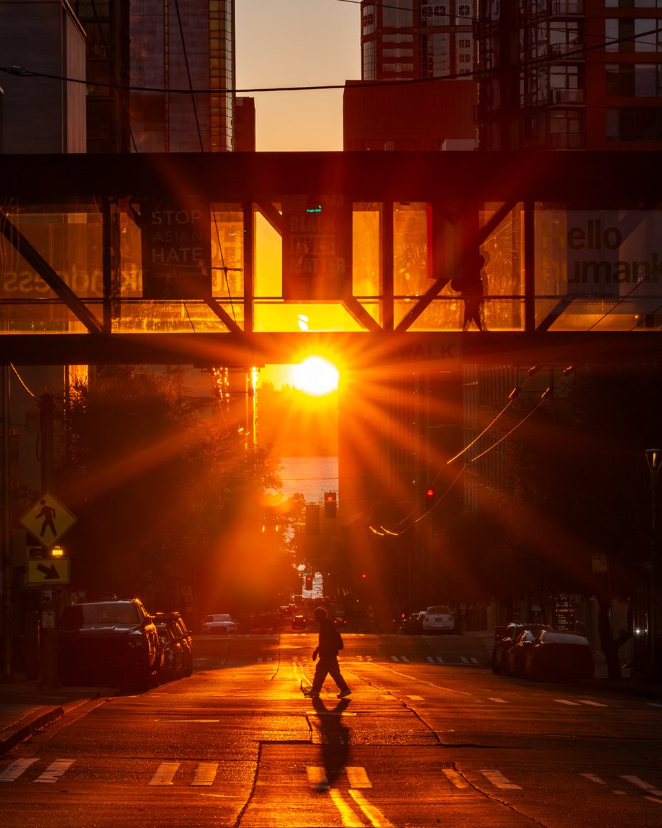 Alvin Calderon, MD, PhD, FACP tweet media